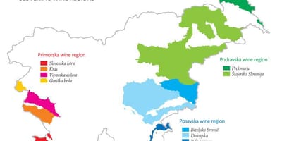 Map of Slovenia wine